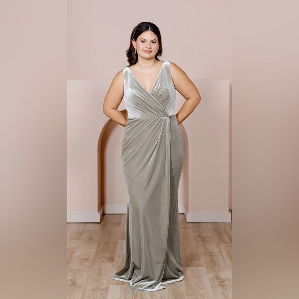 Revelry Blair Velvet Dress